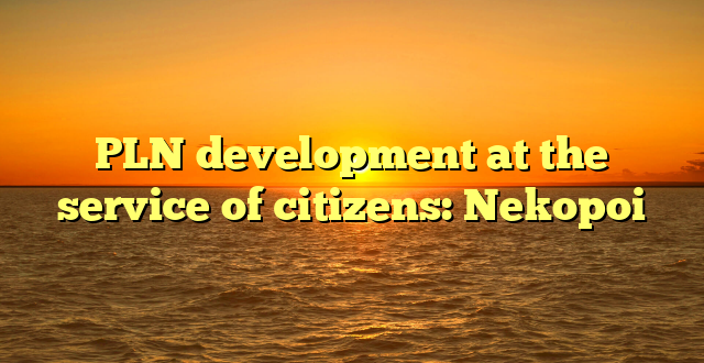 PLN development at the service of citizens: Nekopoi
